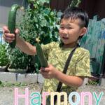Harmony画像